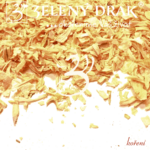 CIBULE SUŠENÁ - koření